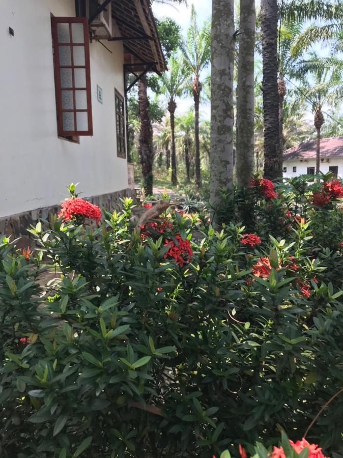 Отель Palm Garden House Quang Tri Экстерьер фото