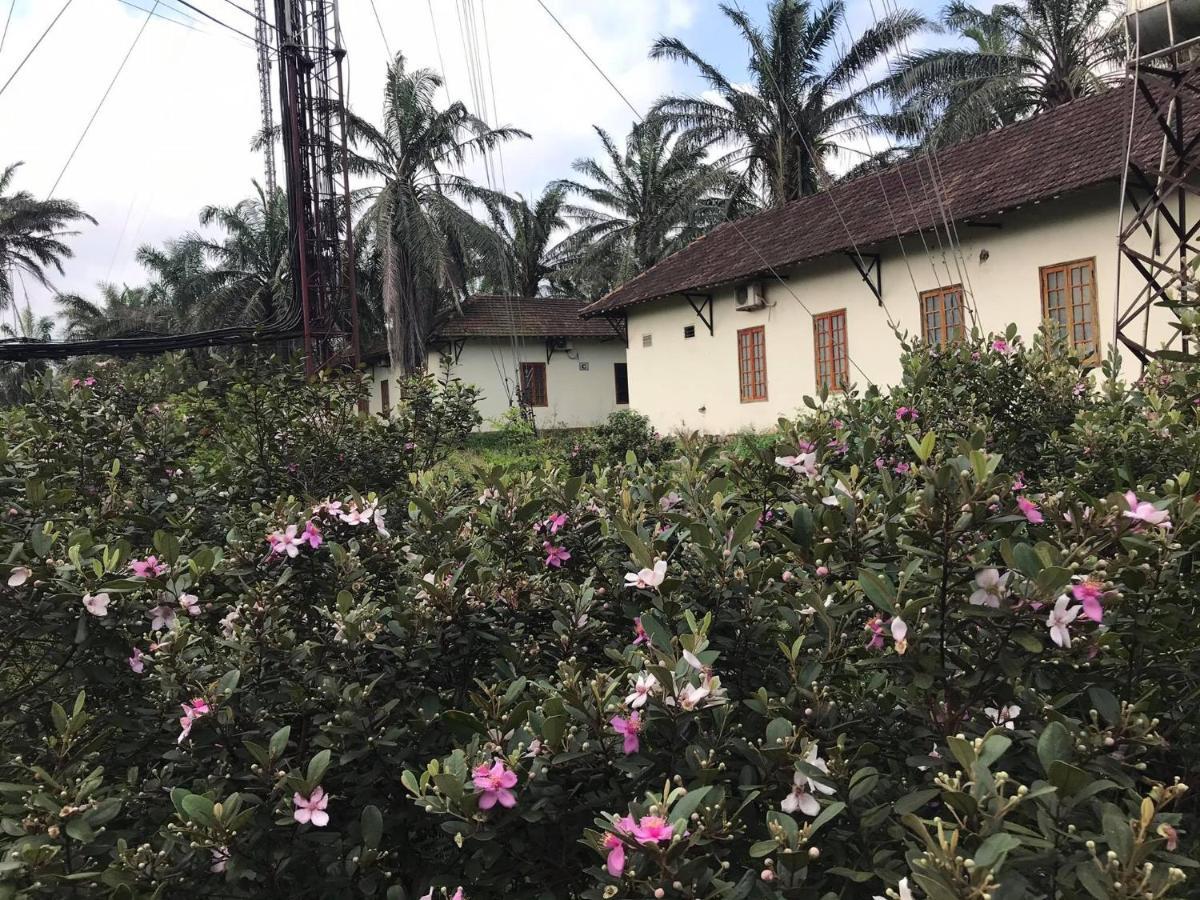 Отель Palm Garden House Quang Tri Экстерьер фото